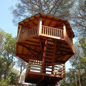  Campo de lujo Dosrius